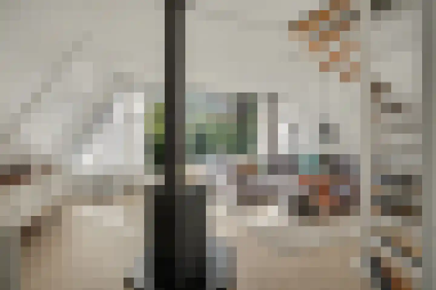 De Achthoek 46 Scharendijke thumbnail 11