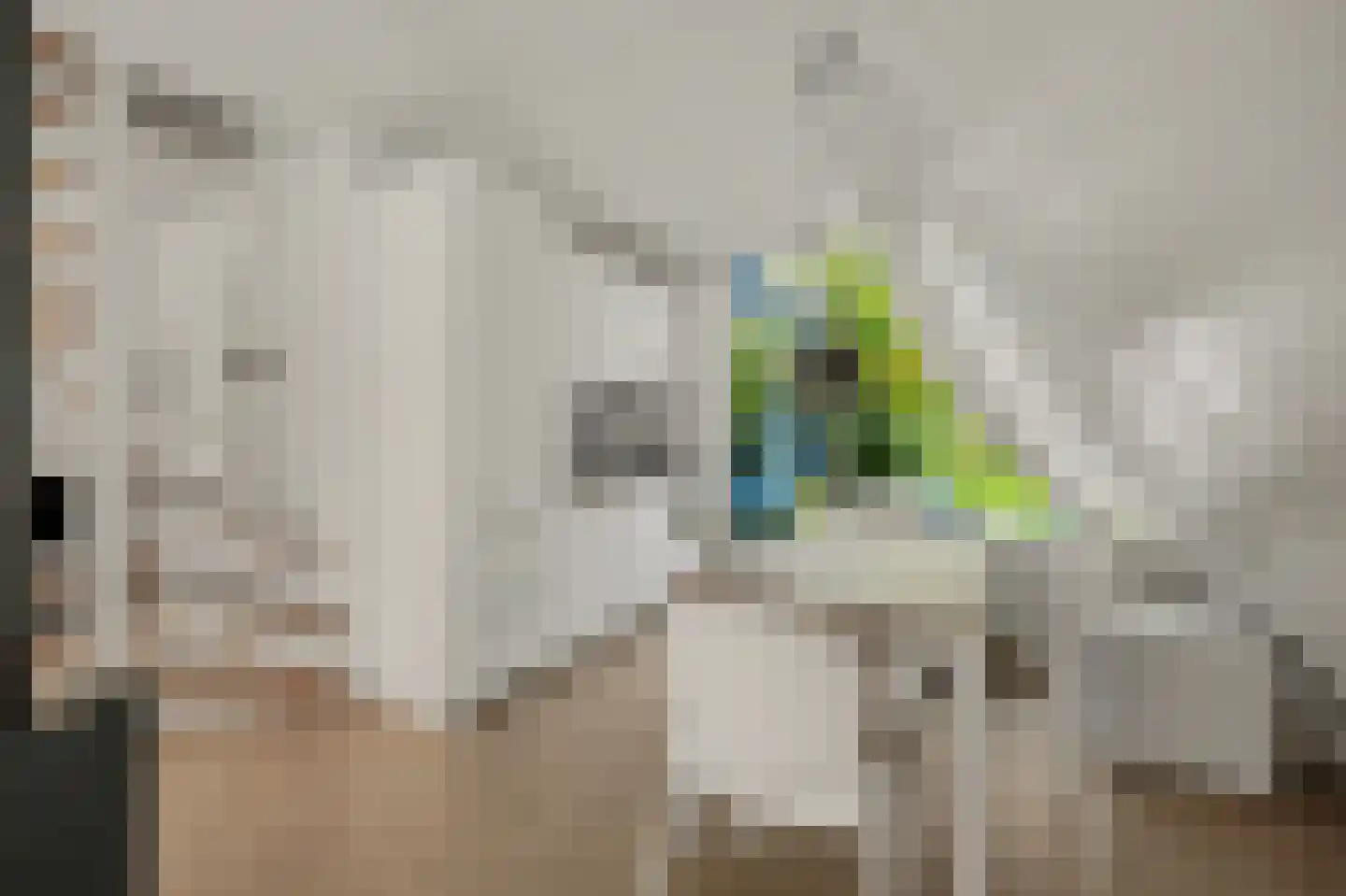 De Achthoek 46 Scharendijke thumbnail 12