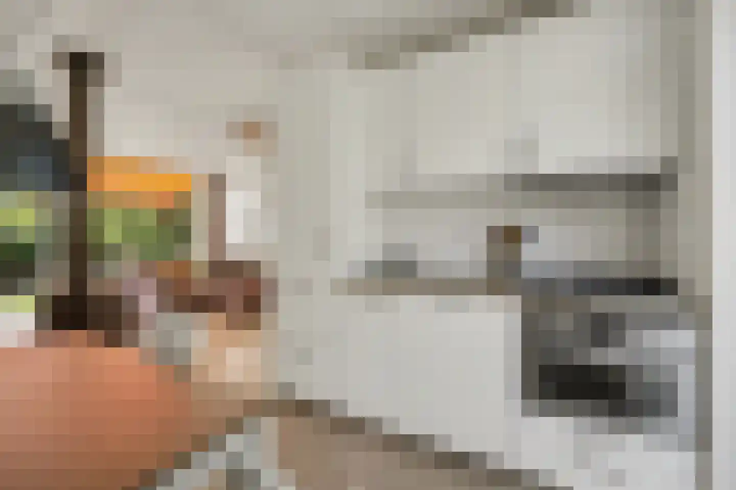 De Achthoek 46 Scharendijke thumbnail 13