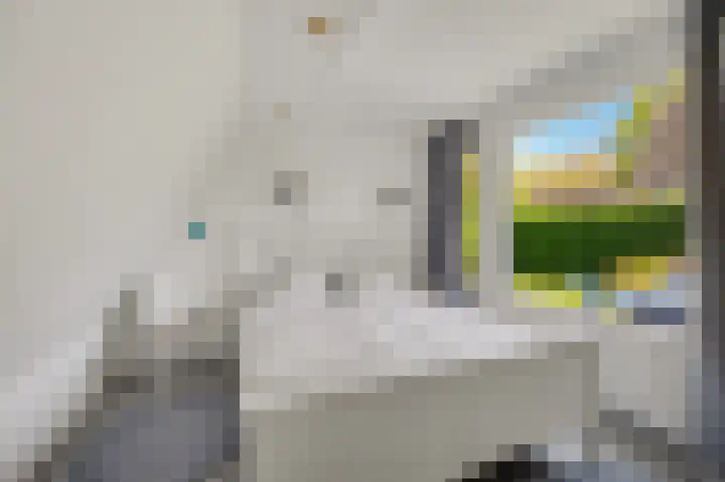 De Achthoek 46 Scharendijke thumbnail 16