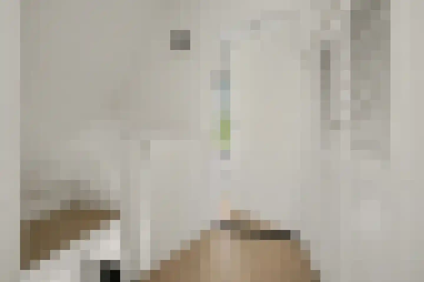 De Achthoek 46 Scharendijke thumbnail 20