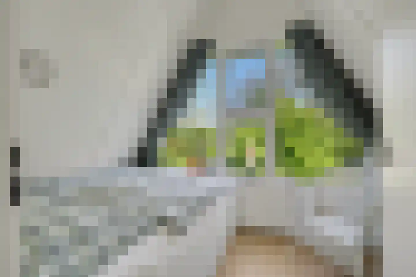 De Achthoek 46 Scharendijke thumbnail 21