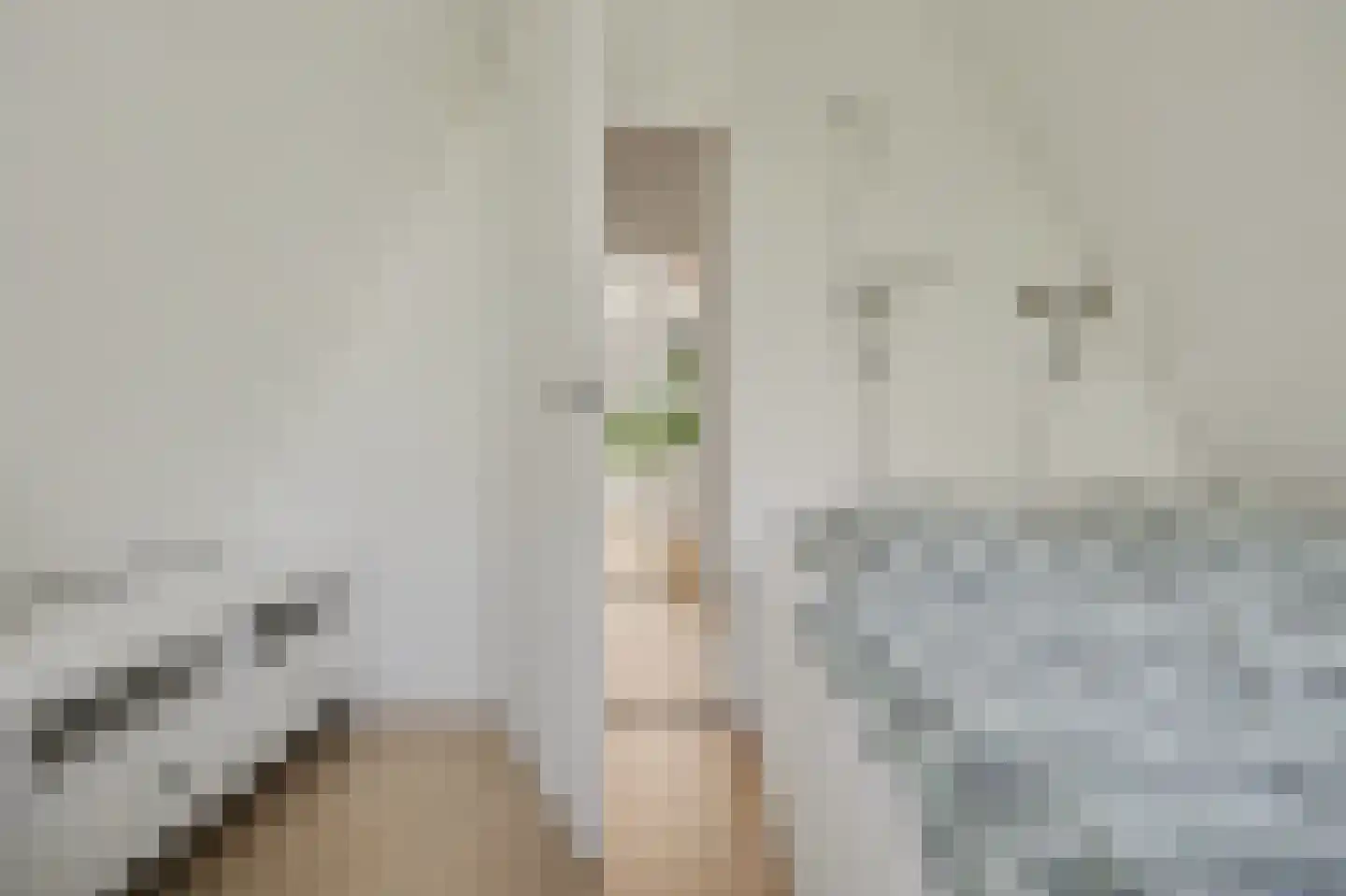 De Achthoek 46 Scharendijke thumbnail 22