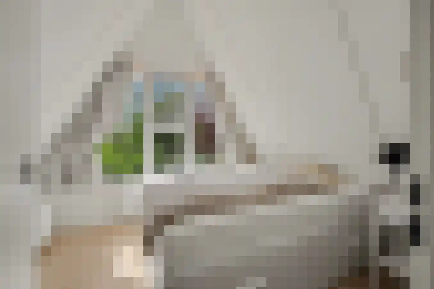 De Achthoek 46 Scharendijke thumbnail 23