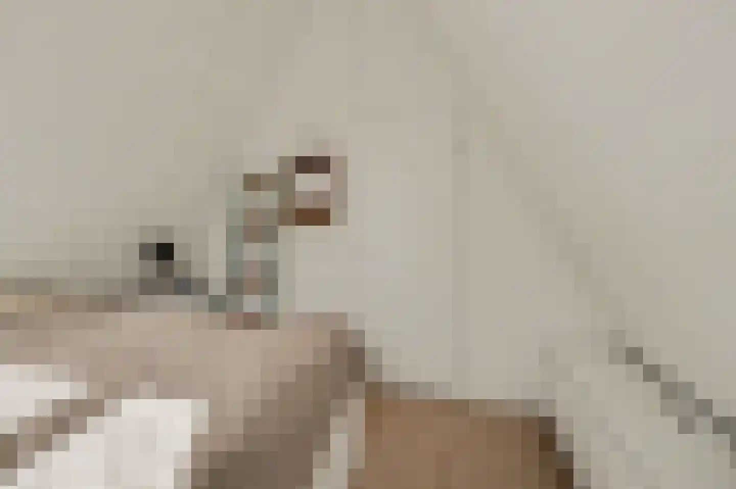 De Achthoek 46 Scharendijke thumbnail 24