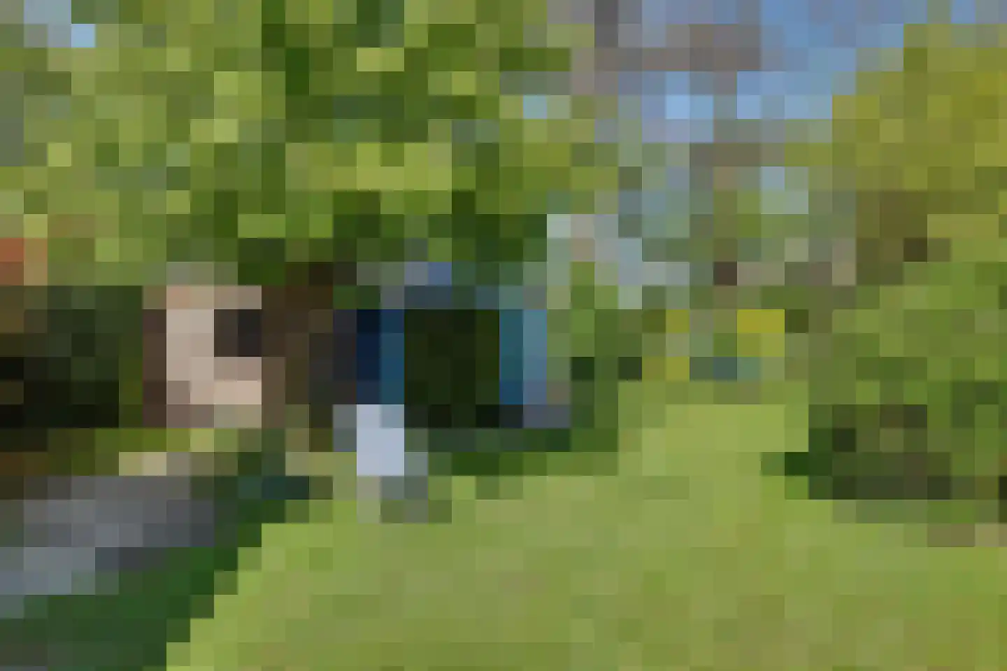 De Achthoek 46 Scharendijke thumbnail 27