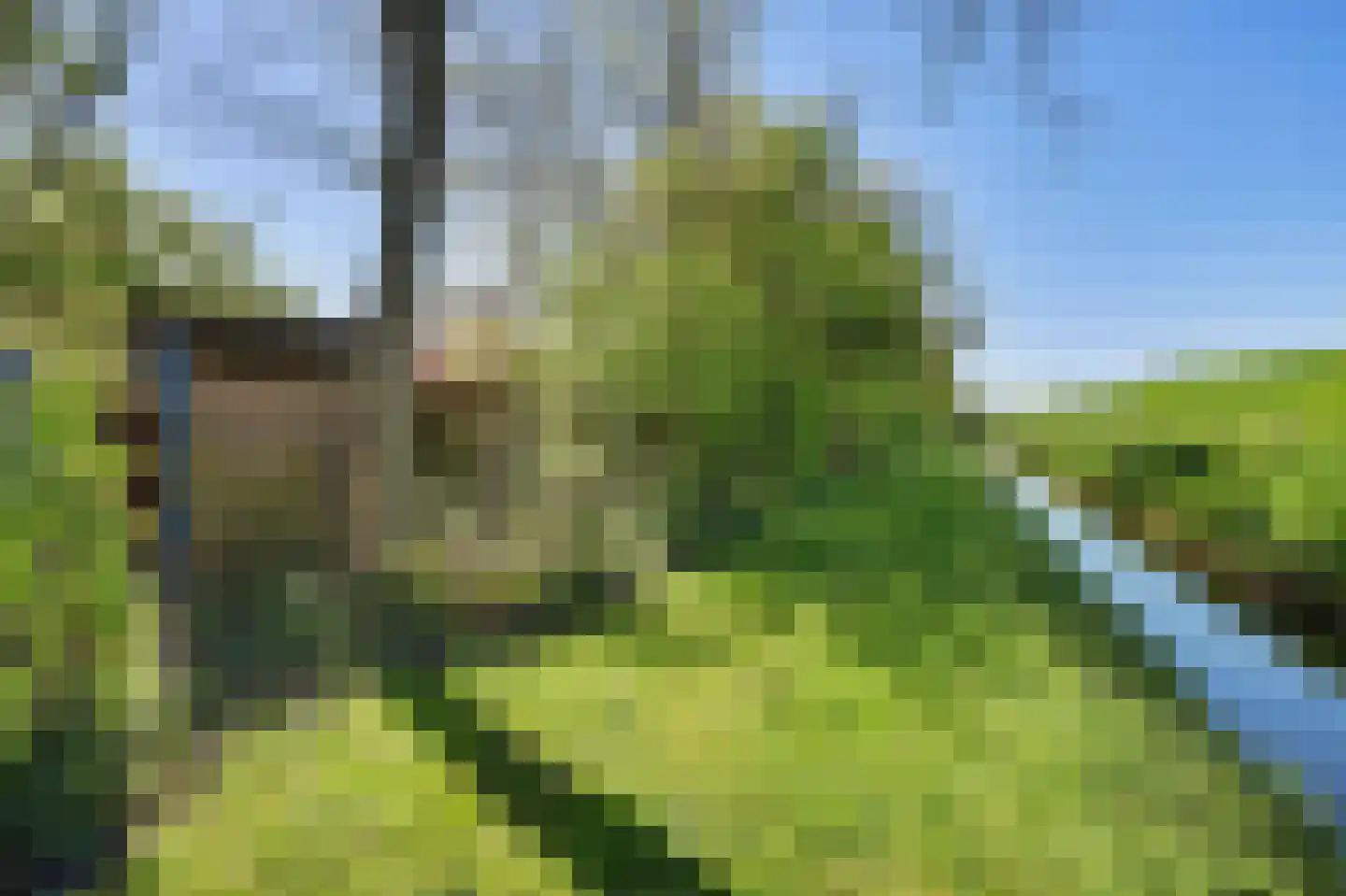 De Achthoek 46 Scharendijke thumbnail 33