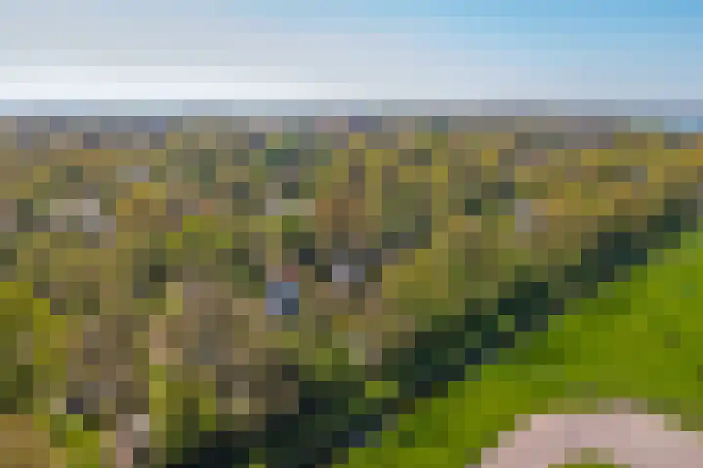 De Achthoek 46 Scharendijke thumbnail 37