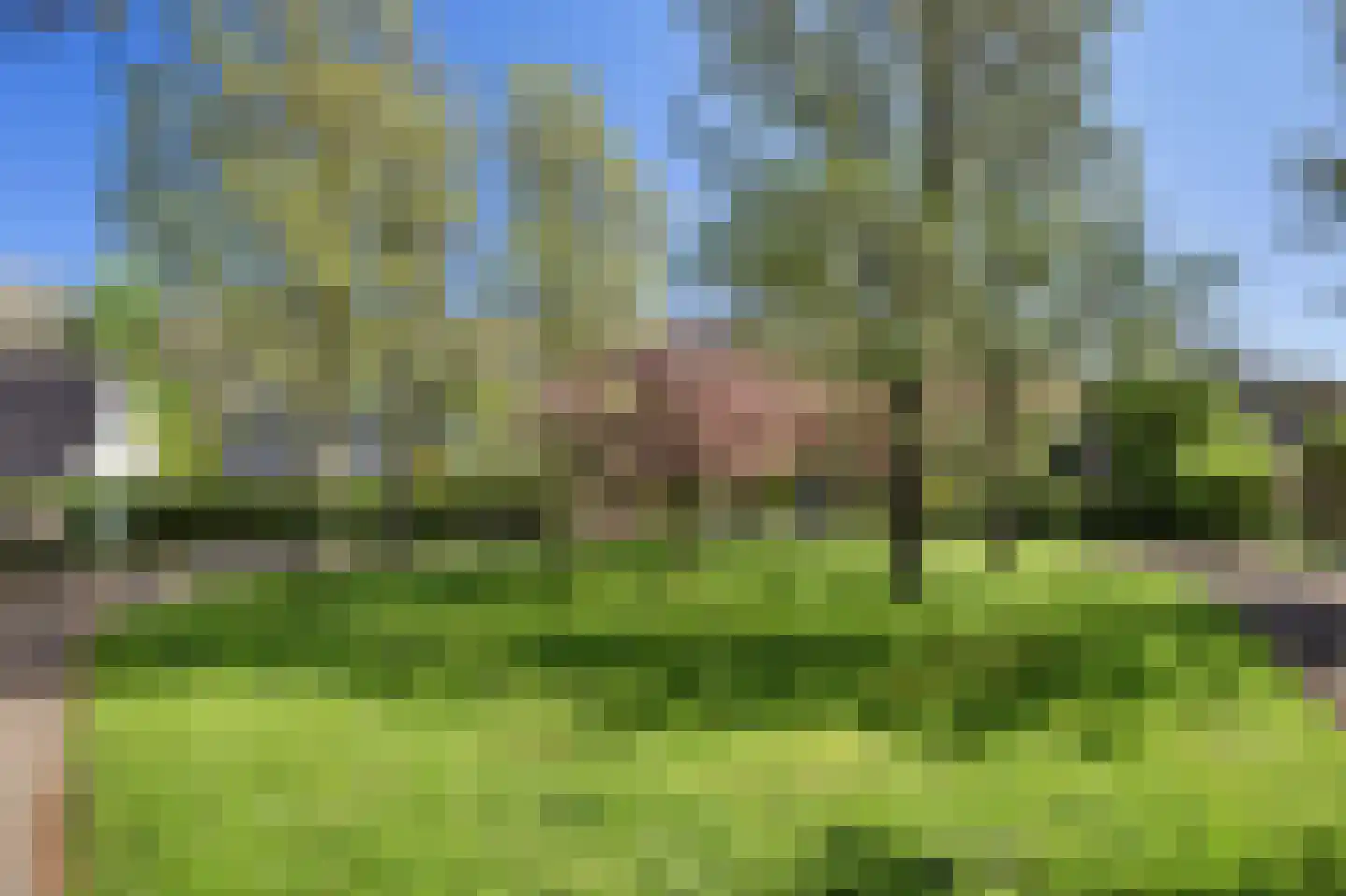 De Achthoek 46 Scharendijke thumbnail 5