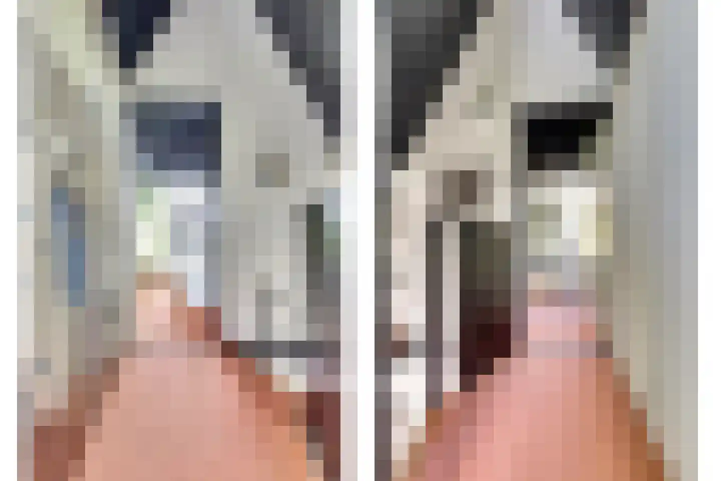 De Achthoek 54 Scharendijke thumbnail 10