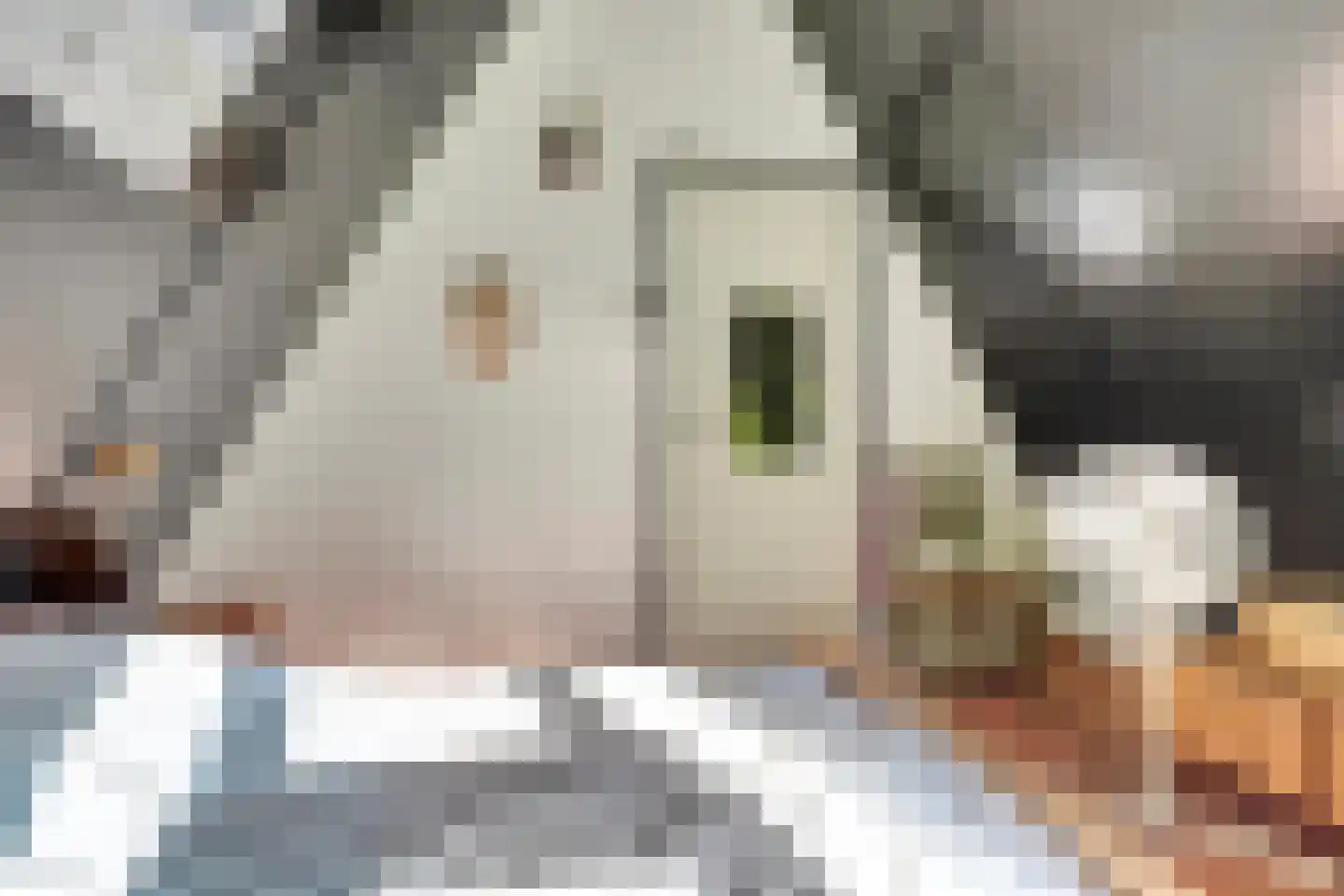 De Achthoek 54 Scharendijke thumbnail 11