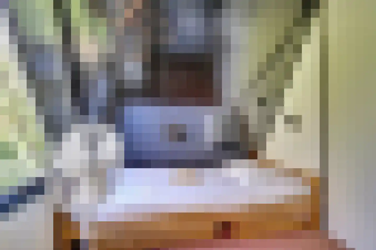 De Achthoek 54 Scharendijke thumbnail 12