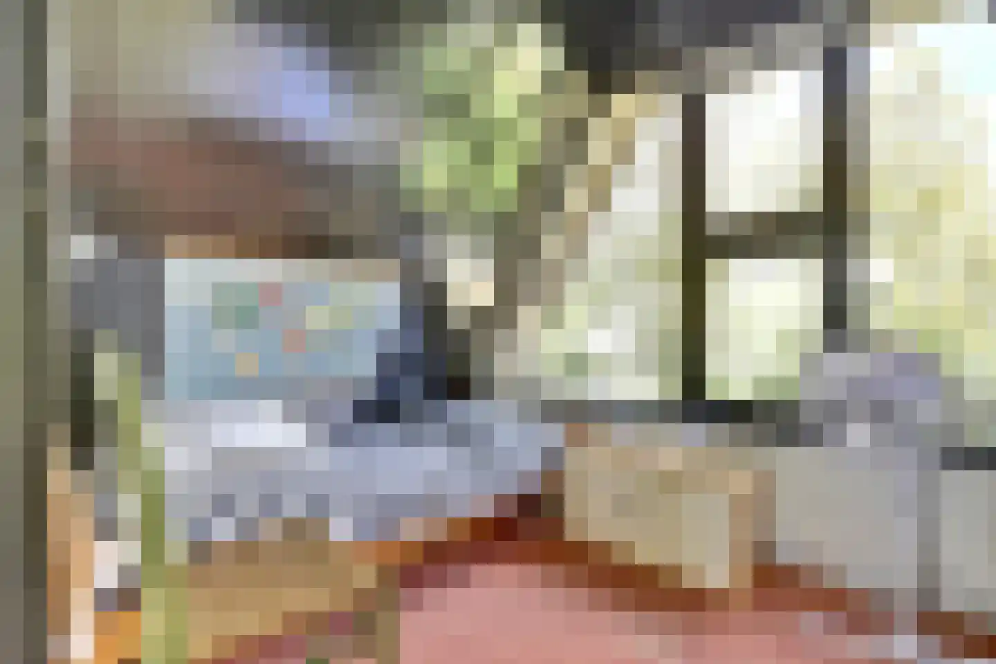 De Achthoek 54 Scharendijke thumbnail 13