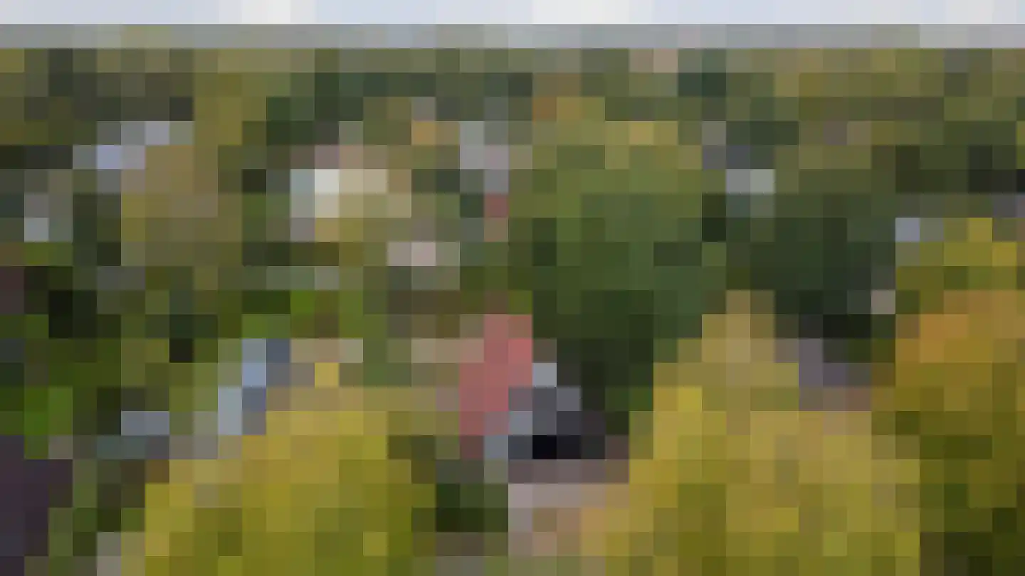 De Achthoek 54 Scharendijke thumbnail 14