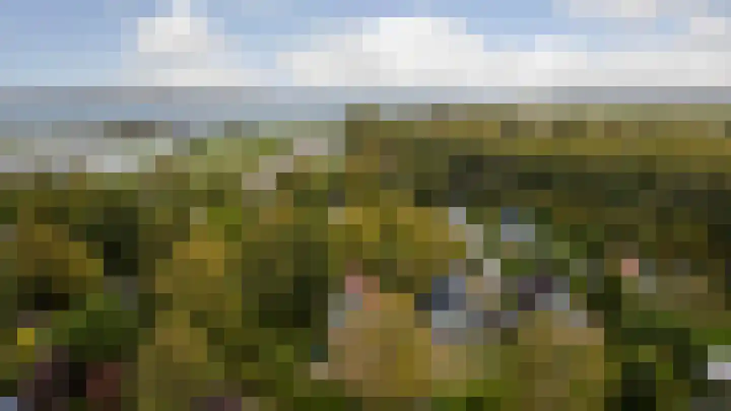 De Achthoek 54 Scharendijke thumbnail 15