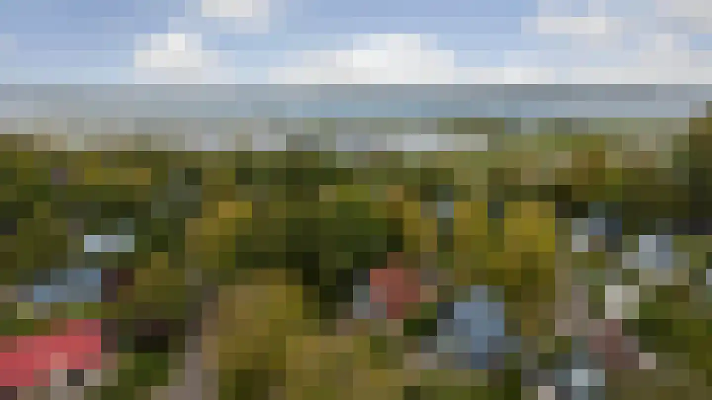 De Achthoek 54 Scharendijke thumbnail 16