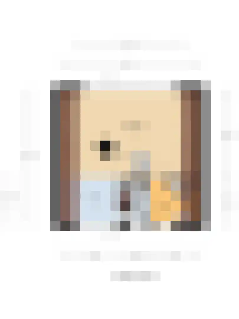 De Achthoek 54 Scharendijke thumbnail 17