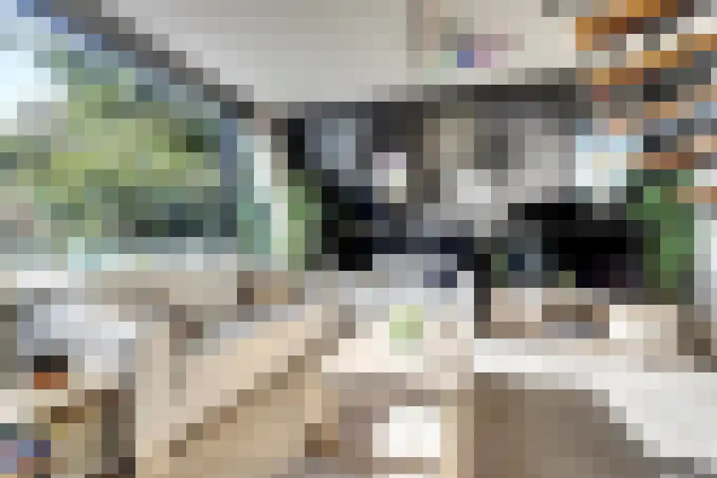 De Achthoek 54 Scharendijke thumbnail 6