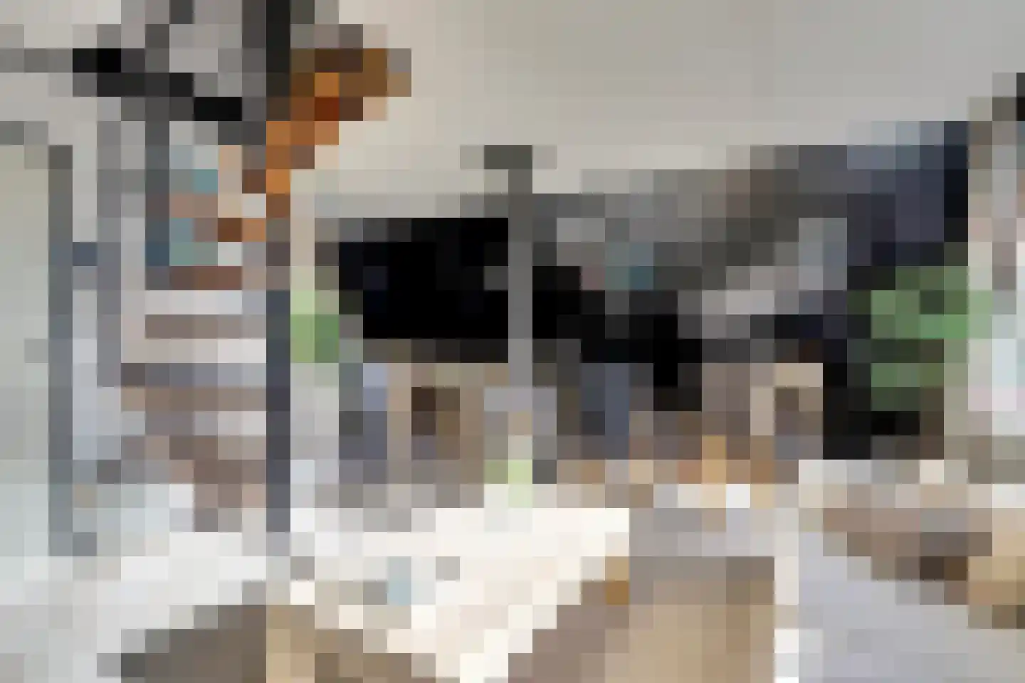 De Achthoek 54 Scharendijke thumbnail 7