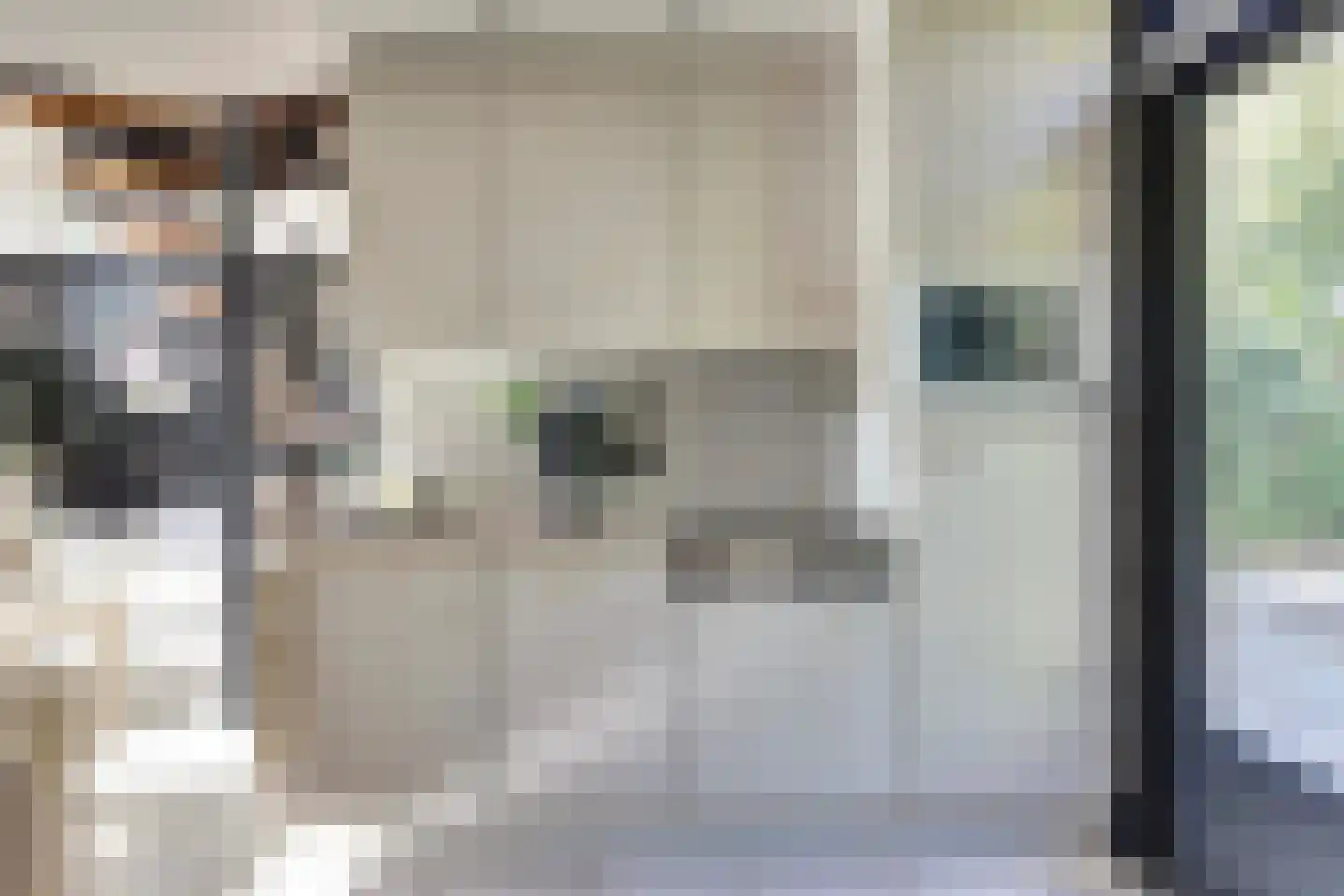 De Achthoek 54 Scharendijke thumbnail 8