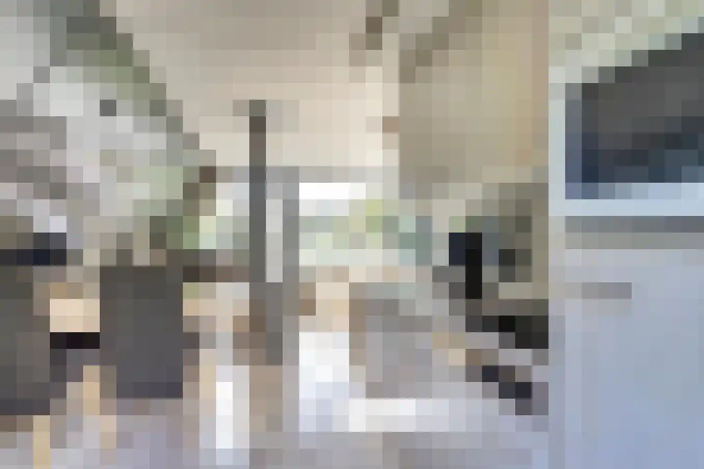 De Achthoek 54 Scharendijke thumbnail 9