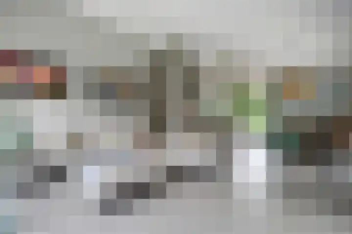 De Achthoek 69 Scharendijke thumbnail 10