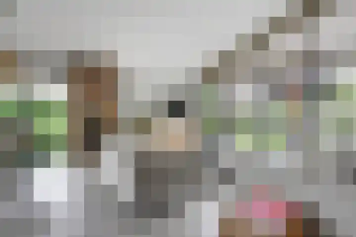 De Achthoek 69 Scharendijke thumbnail 11
