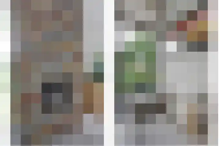 De Achthoek 69 Scharendijke thumbnail 12