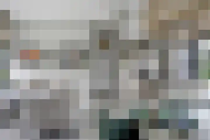 De Achthoek 69 Scharendijke thumbnail 13