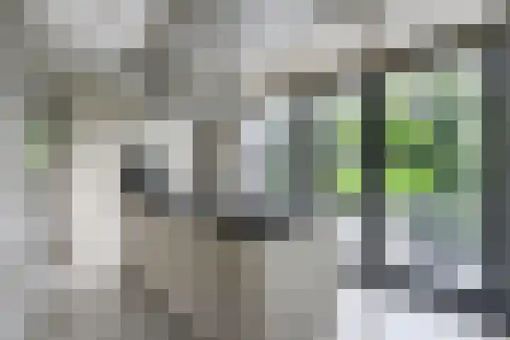 De Achthoek 69 Scharendijke thumbnail 14