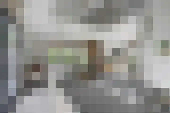 De Achthoek 69 Scharendijke thumbnail 16