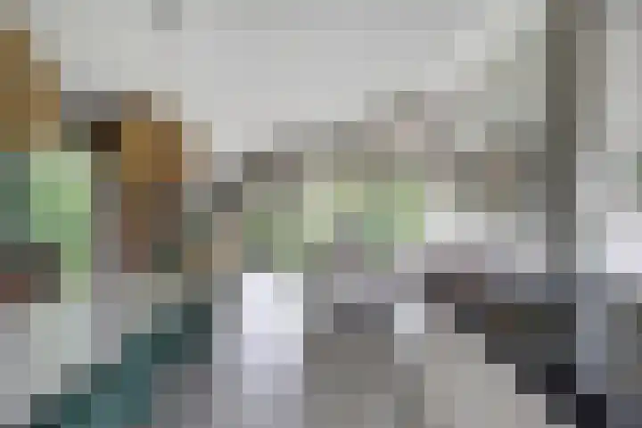 De Achthoek 69 Scharendijke thumbnail 17