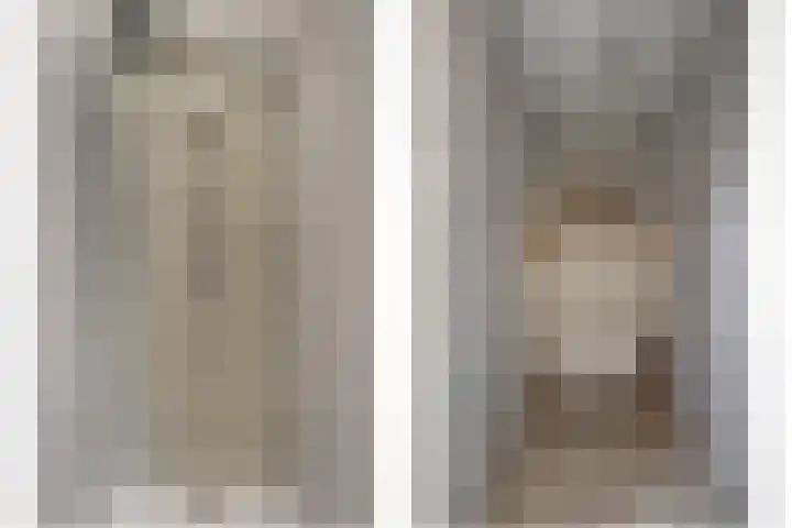 De Achthoek 69 Scharendijke thumbnail 19