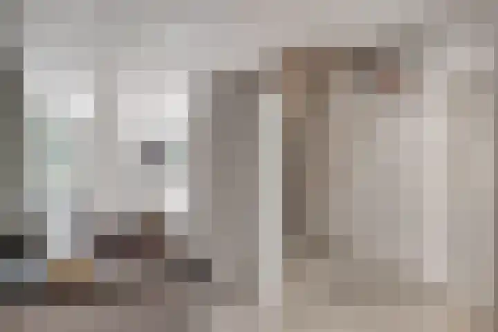De Achthoek 69 Scharendijke thumbnail 20