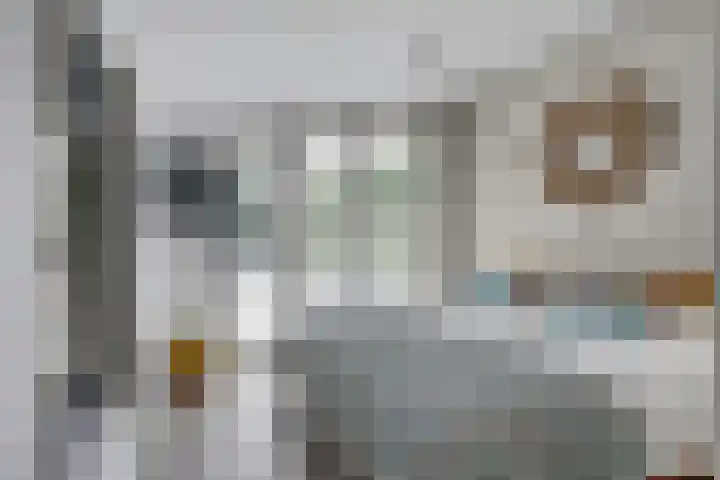 De Achthoek 69 Scharendijke thumbnail 21