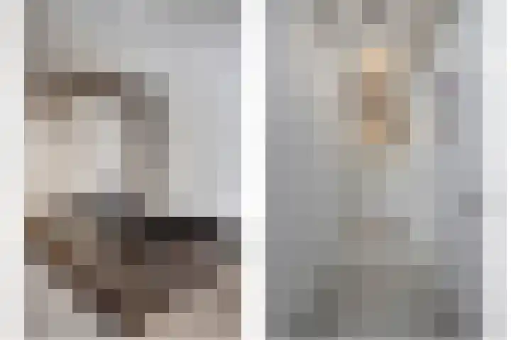 De Achthoek 69 Scharendijke thumbnail 23