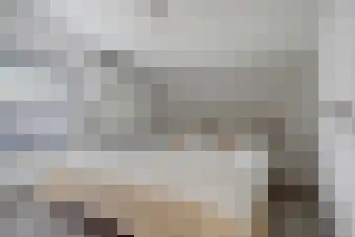 De Achthoek 69 Scharendijke thumbnail 24