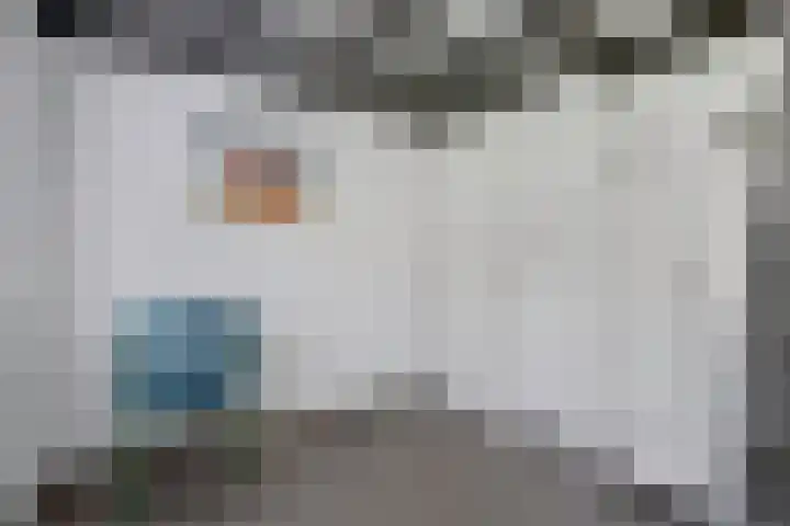 De Achthoek 69 Scharendijke thumbnail 26