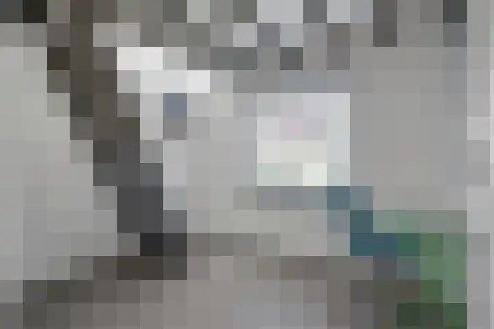De Achthoek 69 Scharendijke thumbnail 27