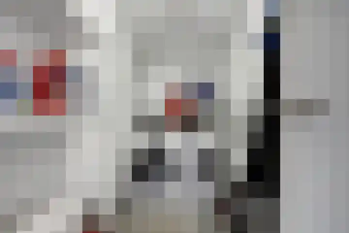 De Achthoek 69 Scharendijke thumbnail 29