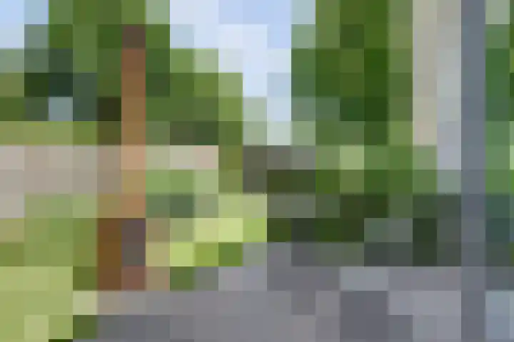 De Achthoek 69 Scharendijke thumbnail 30