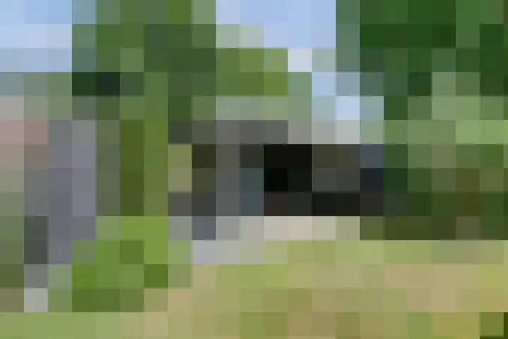 De Achthoek 69 Scharendijke thumbnail 31
