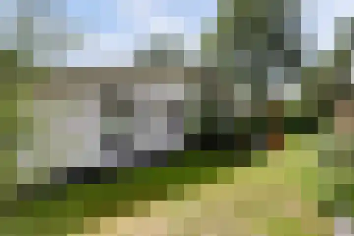 De Achthoek 69 Scharendijke thumbnail 33