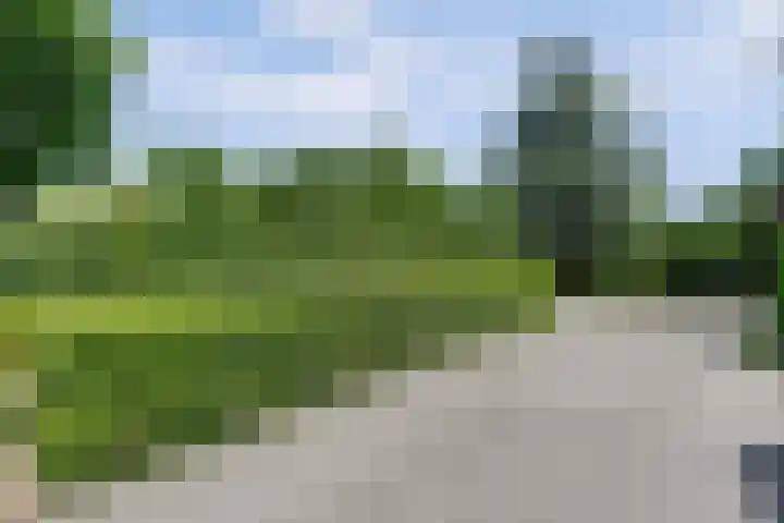 De Achthoek 69 Scharendijke thumbnail 35
