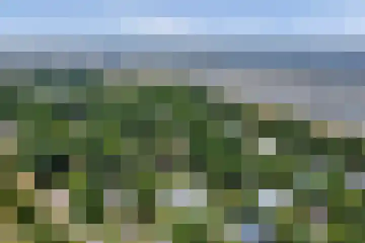 De Achthoek 69 Scharendijke thumbnail 36