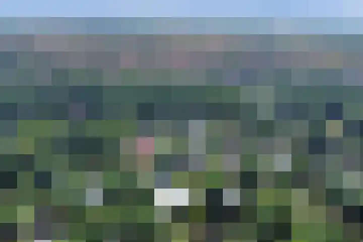De Achthoek 69 Scharendijke thumbnail 37