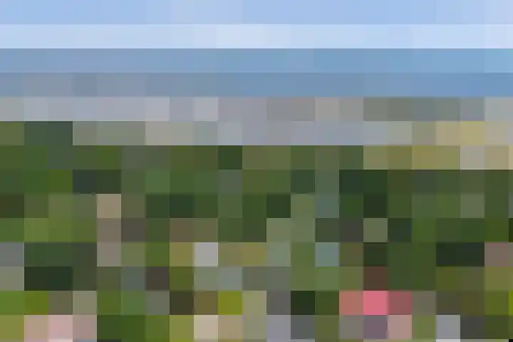De Achthoek 69 Scharendijke thumbnail 38