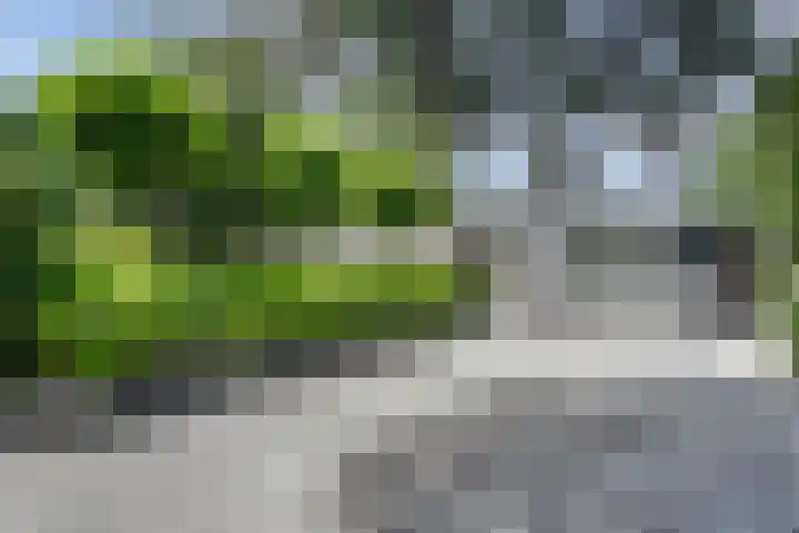 De Achthoek 69 Scharendijke thumbnail 4
