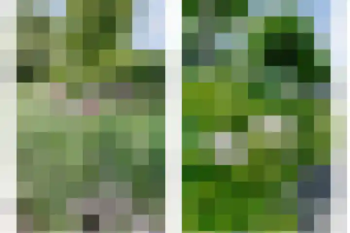 De Achthoek 69 Scharendijke thumbnail 5