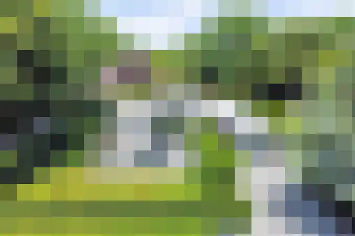De Achthoek 69 Scharendijke thumbnail 6